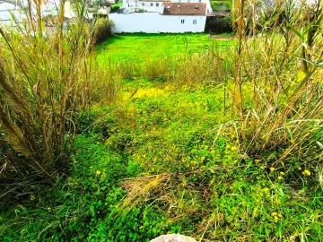 Terreno para Venda em Ericeira