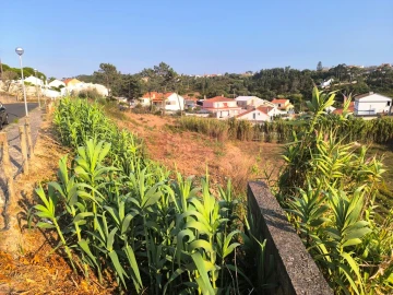 Terreno para Venda em Ericeira