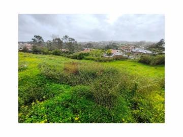 Terreno para Venda em Ericeira