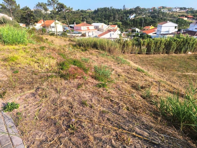 Terreno para Venda em Ericeira Foto 17