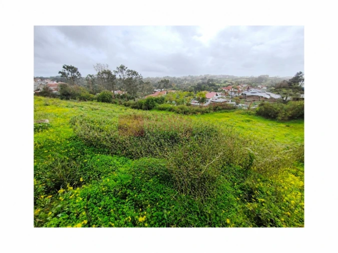 Terreno para Venda em Ericeira Foto 3