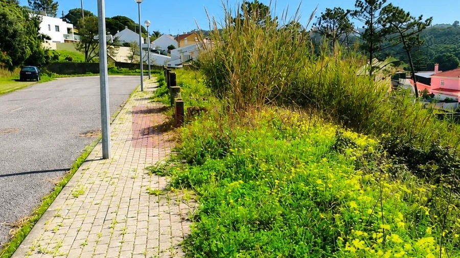 Terreno para Venda em Ericeira
