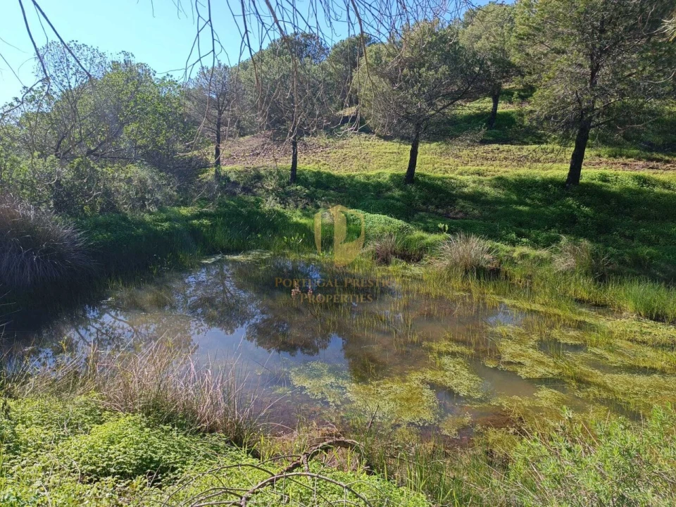 Moradia T3 para Venda em Castro Marim Foto 8