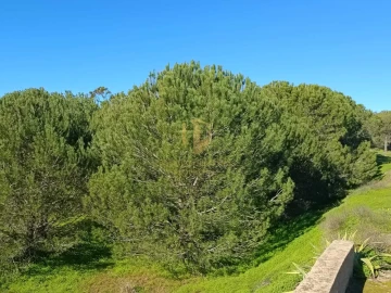 Moradia T3 para Venda em Castro Marim