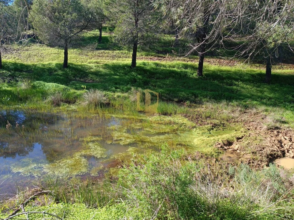 Quinta T1 para Venda em Castro Marim Foto 13