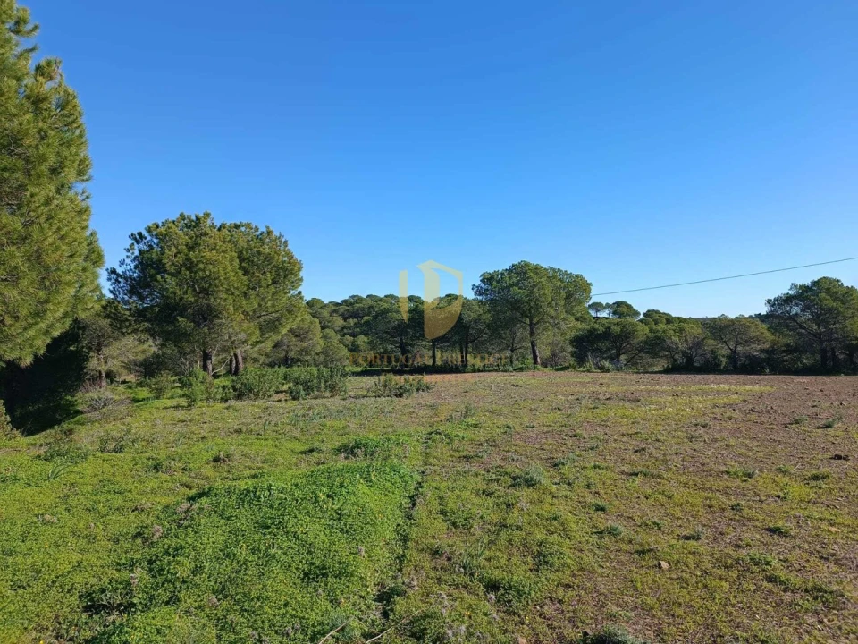 Quinta T1 para Venda em Castro Marim Foto 14
