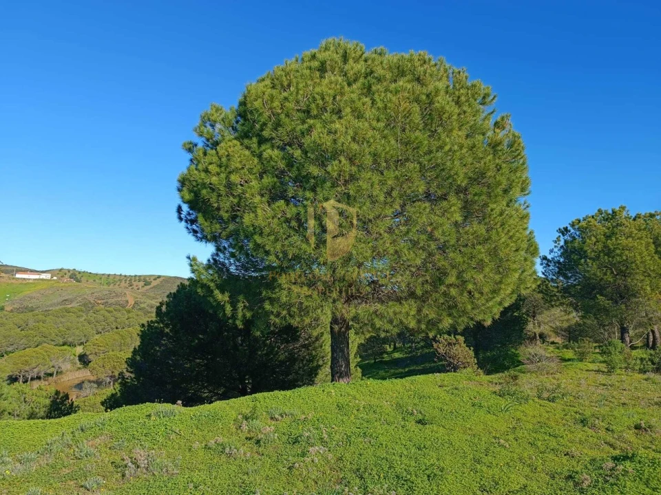 Quinta T1 para Venda em Castro Marim Foto 38
