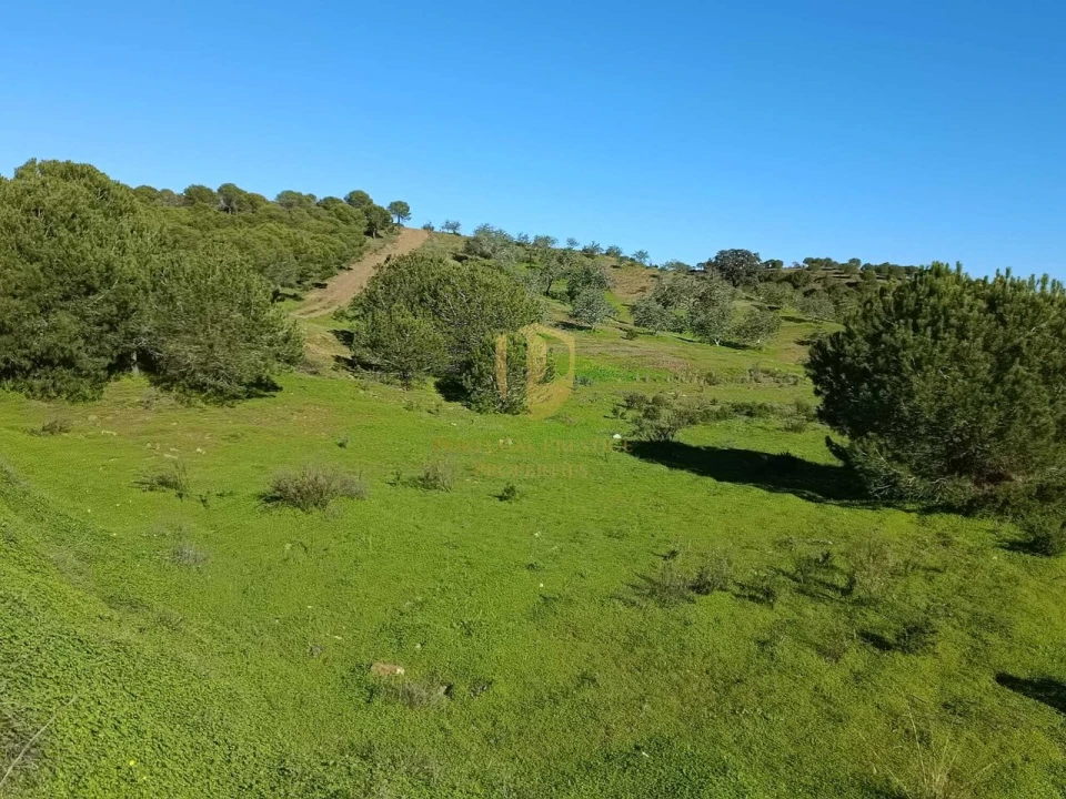 Quinta T1 para Venda em Castro Marim Foto 41