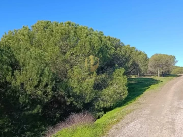 Quinta T1 para Venda em Castro Marim