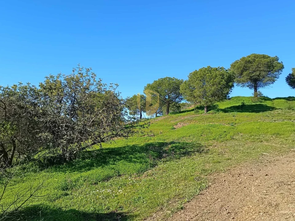 Quinta T3 para Venda em Castro Marim Foto 19
