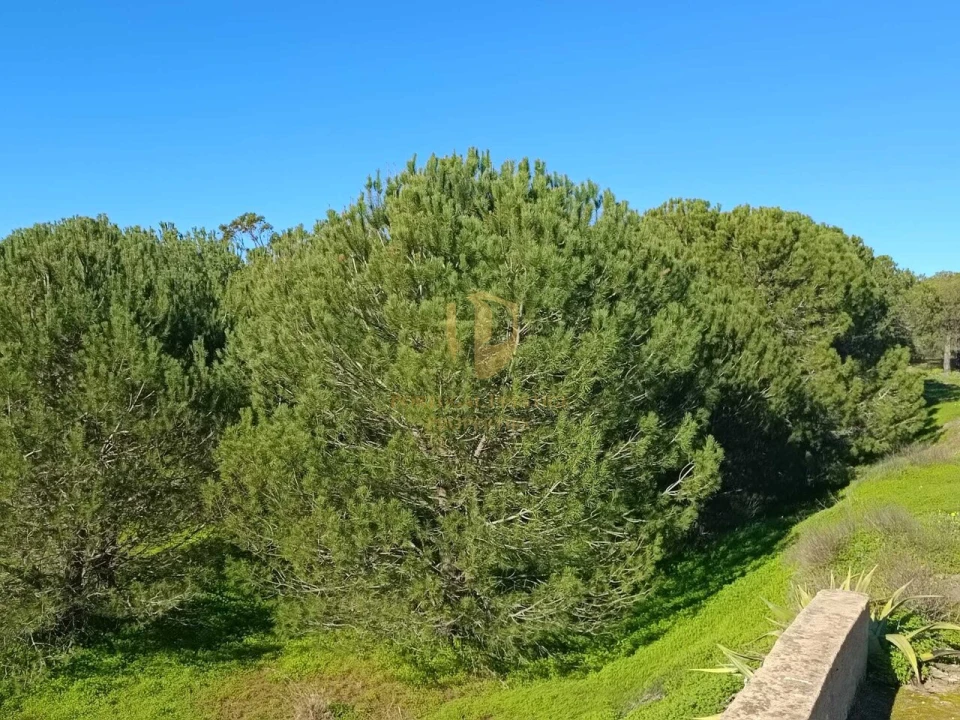Quinta T3 para Venda em Castro Marim Foto 46