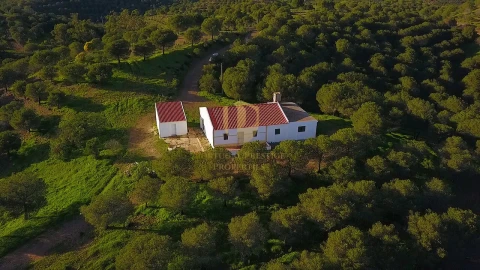 Quinta T3 para Venda em Castro Marim