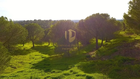 Quinta T3 para Venda em Castro Marim