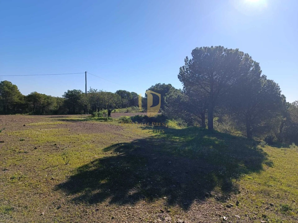 Terreno para Venda em Castro Marim Foto 36