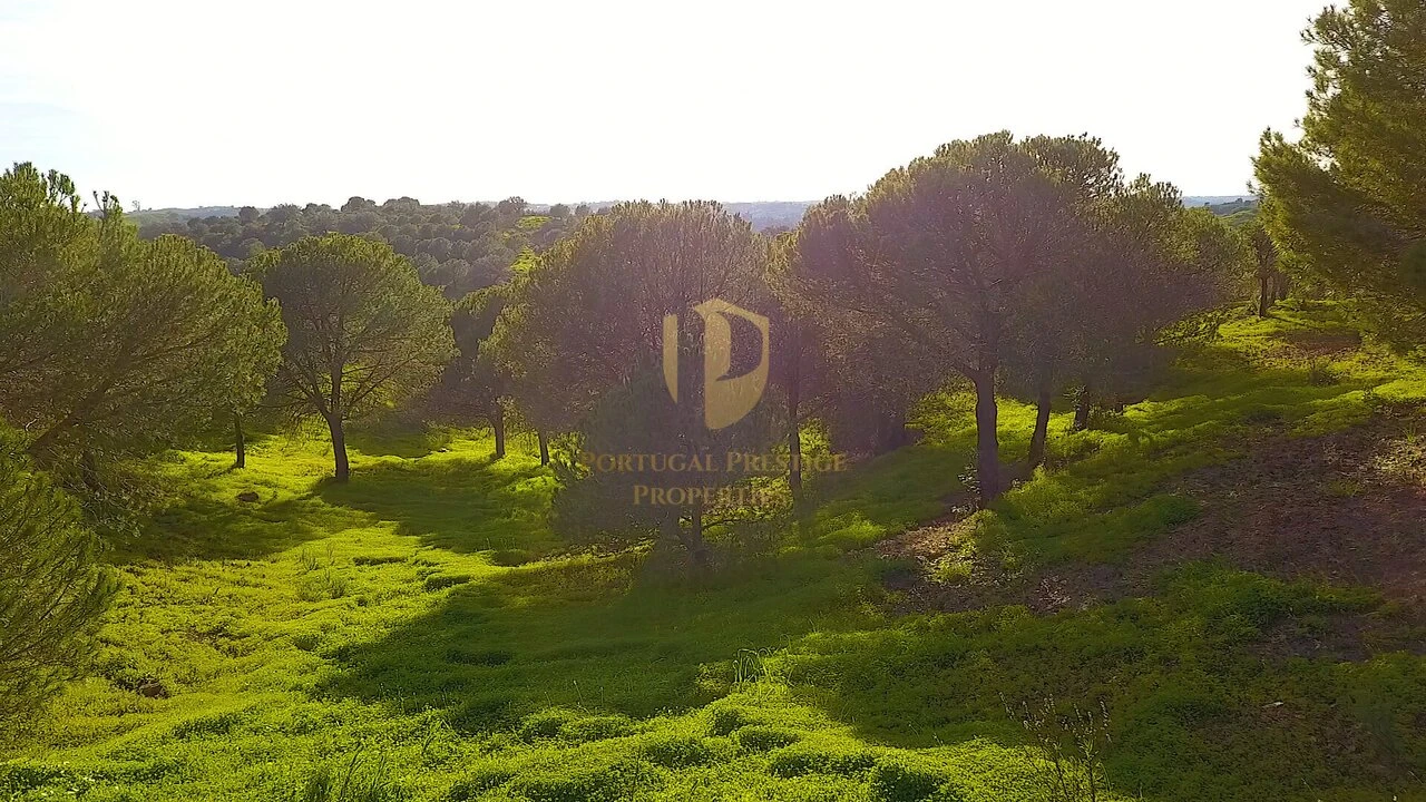 Terreno para Venda em Castro Marim Foto 51