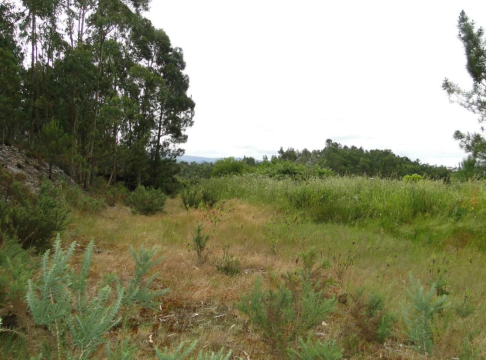 Terreno para Venda em São Roque Foto 17