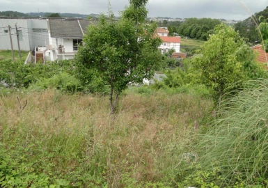Terreno para Venda em São Roque