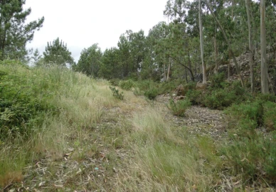 Terreno para Venda em São Roque
