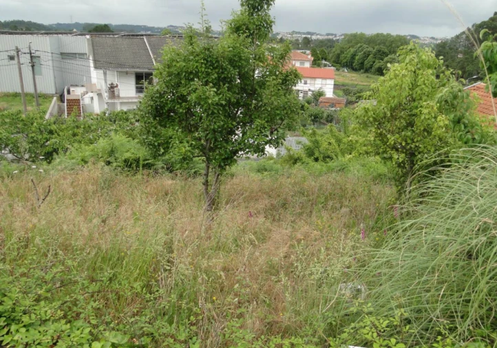 Terreno para Venda em São Roque Foto 16