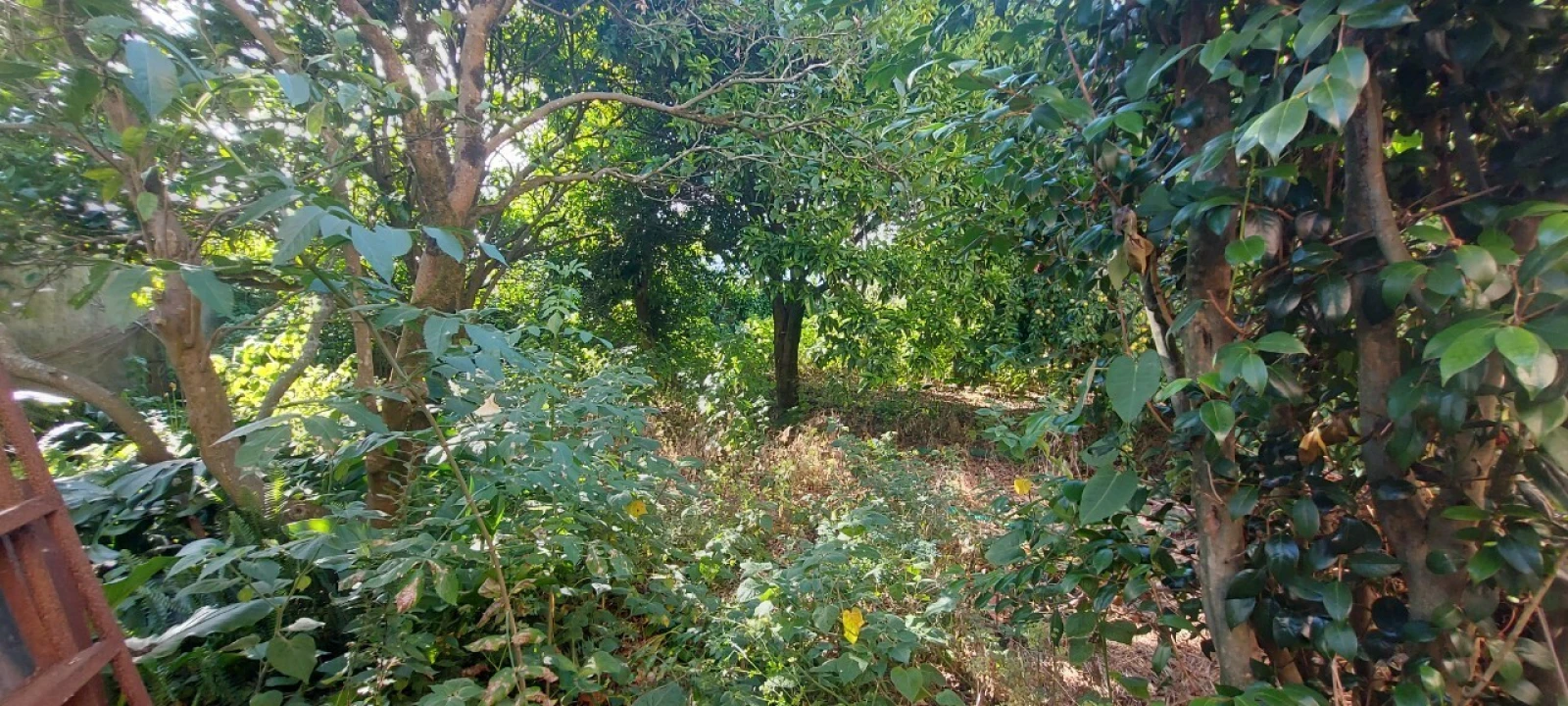 Moradia T7 para Venda em Mira Foto 36