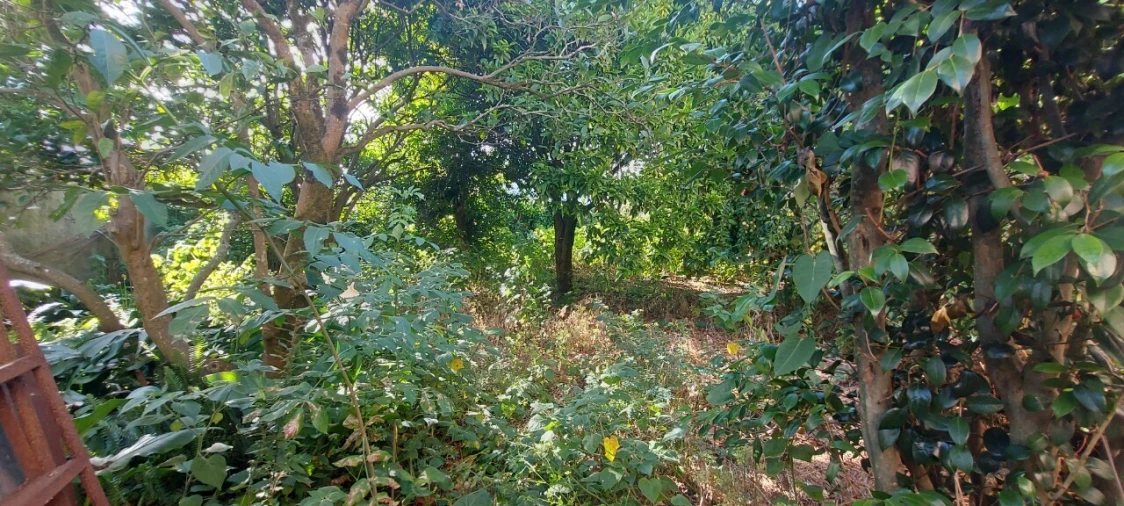 Moradia T7 para Venda em Mira Foto 36