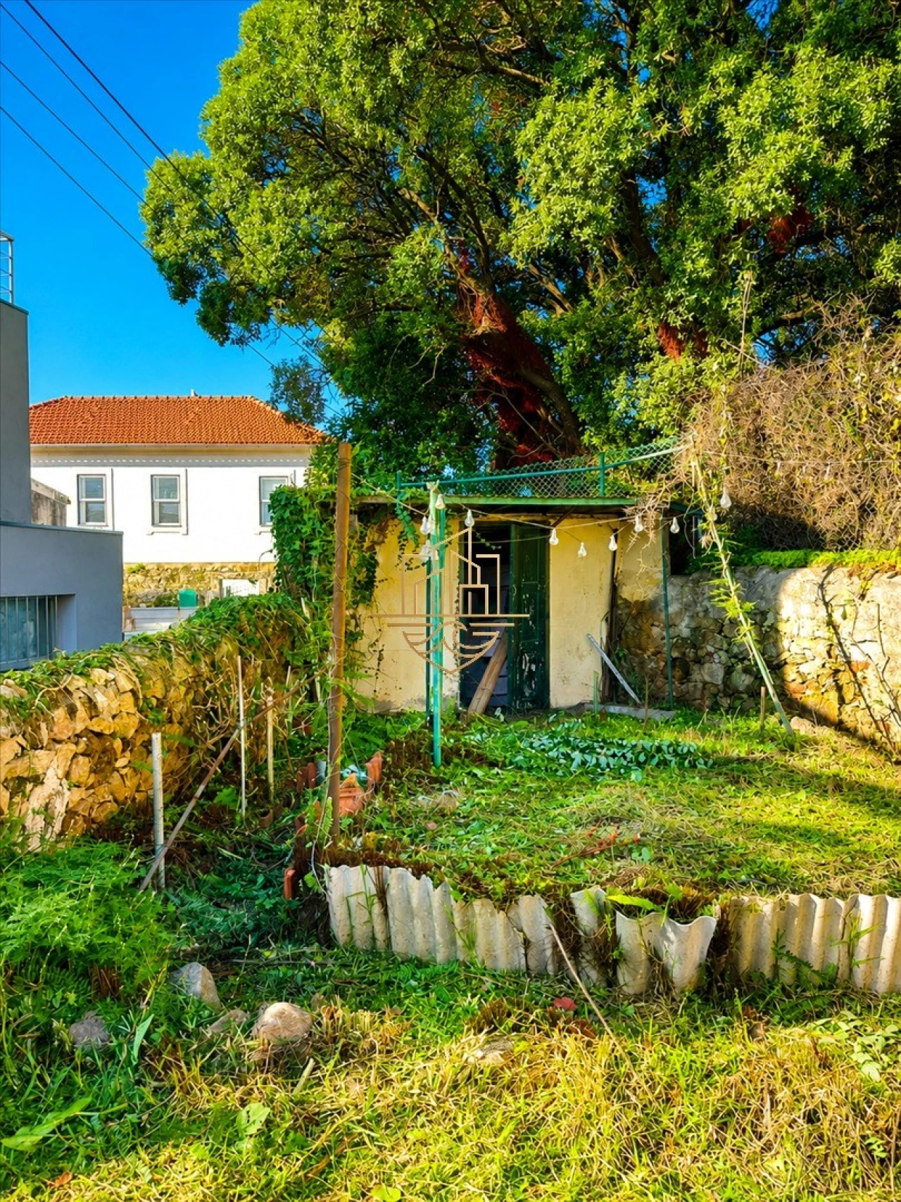 Terreno para Venda em Aldoar, Foz do Douro e Nevogilde Foto 7