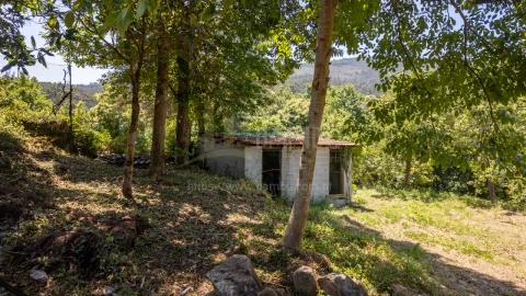 Quinta T2 para Venda em Venade e Azevedo