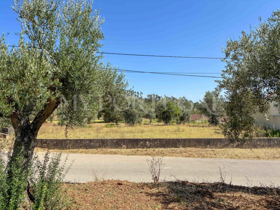 Terreno para Venda em Casais e Alviobeira Foto 3