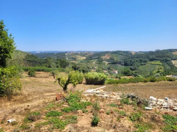 Terreno para Venda em Alvorninha