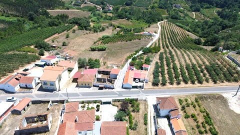 Terreno para Venda em Alvorninha
