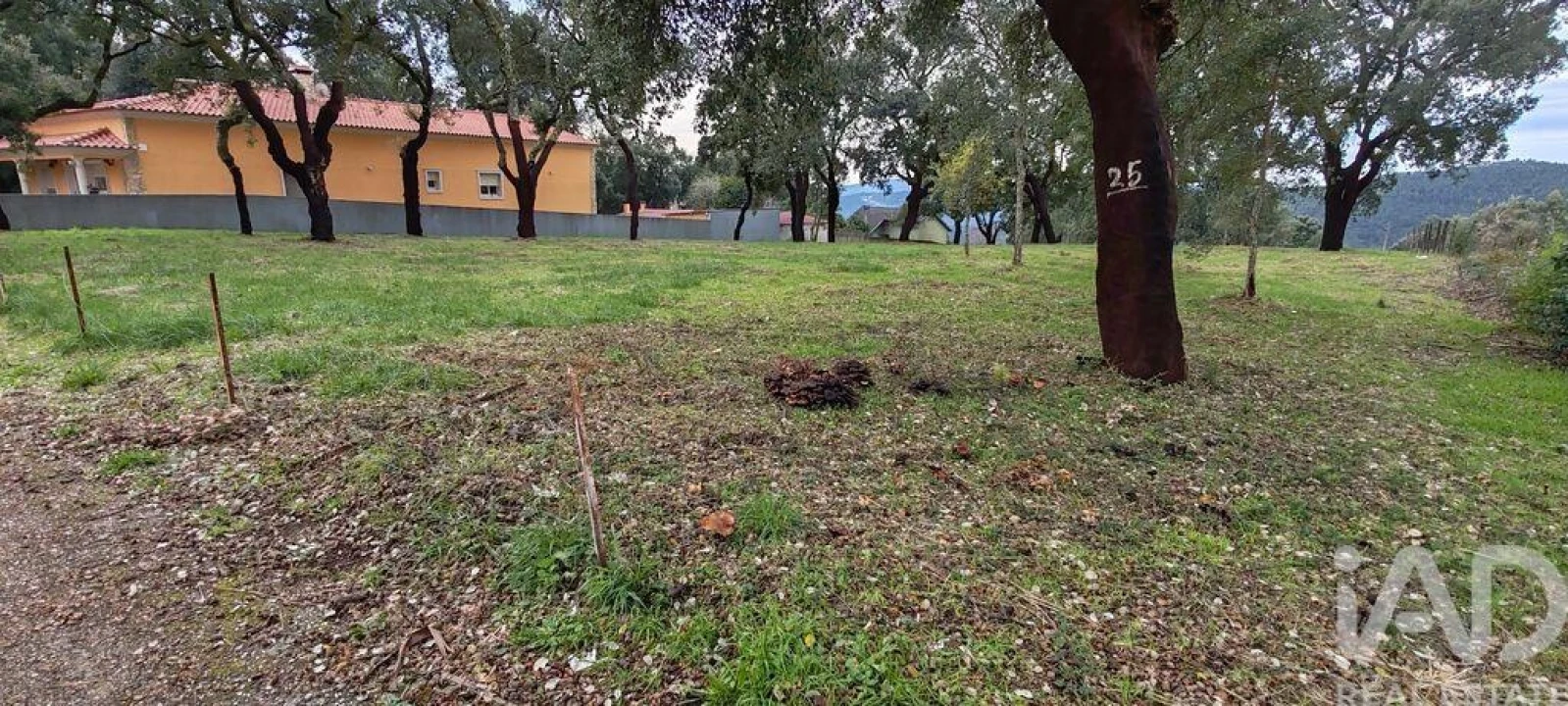Terreno para Venda em Figueiró dos Vinhos e Bairradas Foto 13