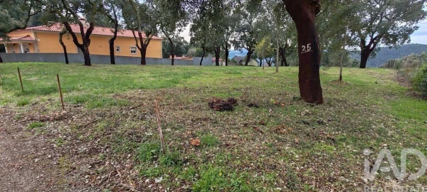 Terreno para Venda em Figueiró dos Vinhos e Bairradas