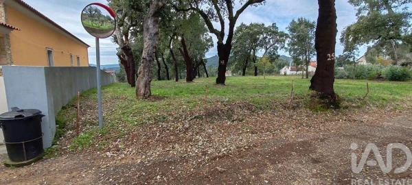 Terreno para Venda em Figueiró dos Vinhos e Bairradas