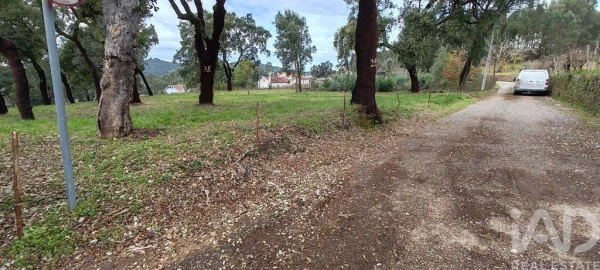 Terreno para Venda em Figueiró dos Vinhos e Bairradas
