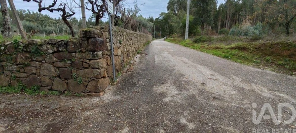 Terreno para Venda em Figueiró dos Vinhos e Bairradas
