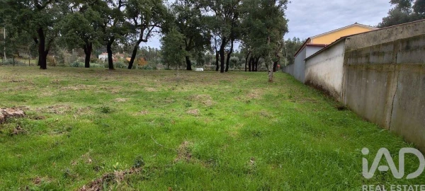 Terreno para Venda em Figueiró dos Vinhos e Bairradas