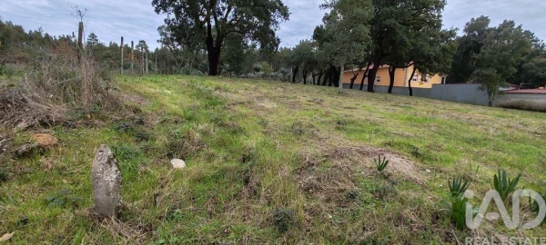 Terreno para Venda em Figueiró dos Vinhos e Bairradas