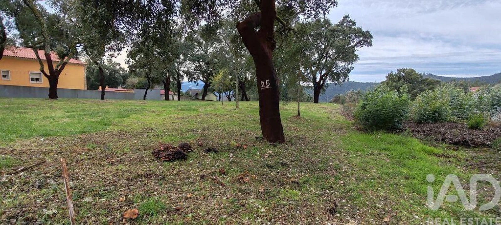 Terreno para Venda em Figueiró dos Vinhos e Bairradas Foto 12