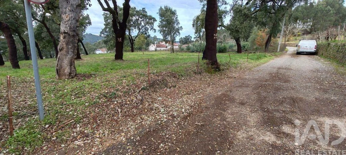 Terreno para Venda em Figueiró dos Vinhos e Bairradas Foto 9