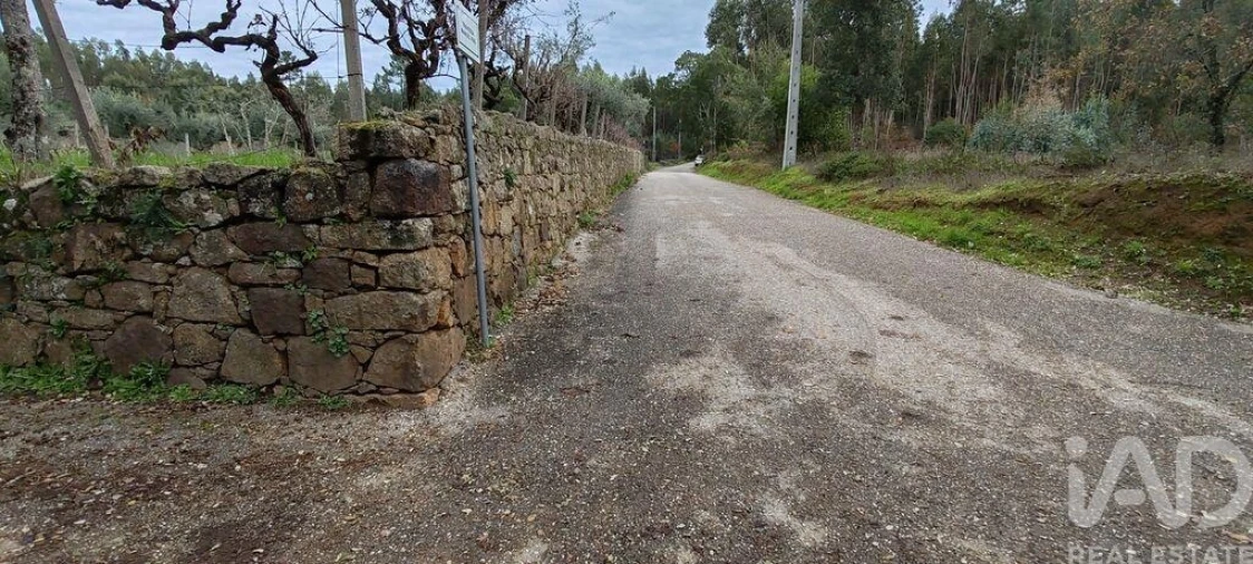 Terreno para Venda em Figueiró dos Vinhos e Bairradas Foto 8
