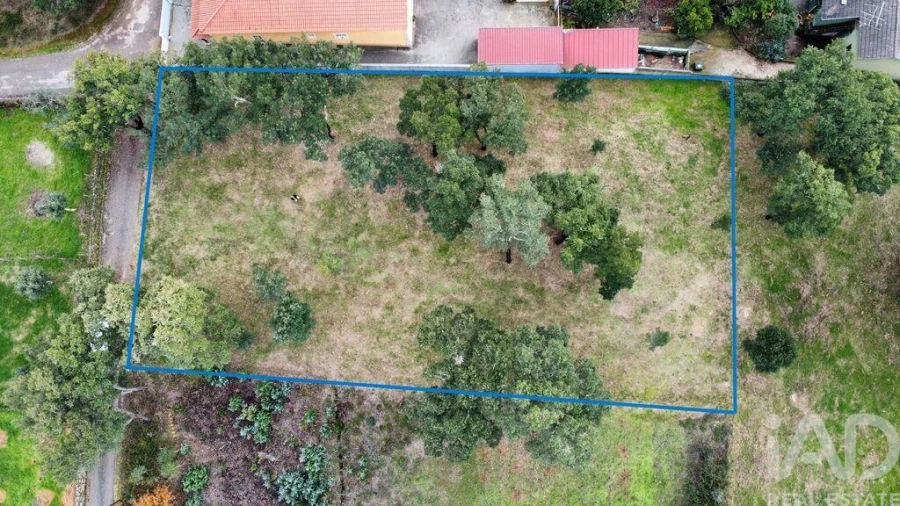 Terreno para Venda em Figueiró dos Vinhos e Bairradas Foto 3