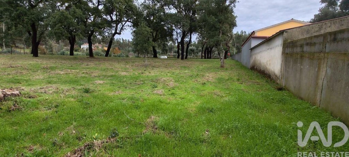 Terreno para Venda em Figueiró dos Vinhos e Bairradas Foto 17