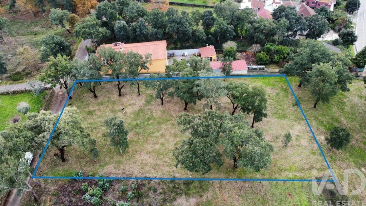 Terreno para Venda em Figueiró dos Vinhos e Bairradas Foto 2