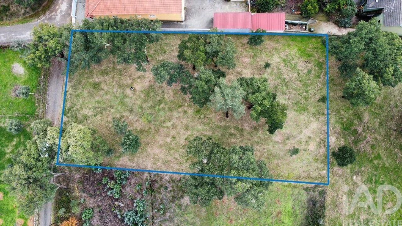 Terreno para Venda em Figueiró dos Vinhos e Bairradas Foto 3