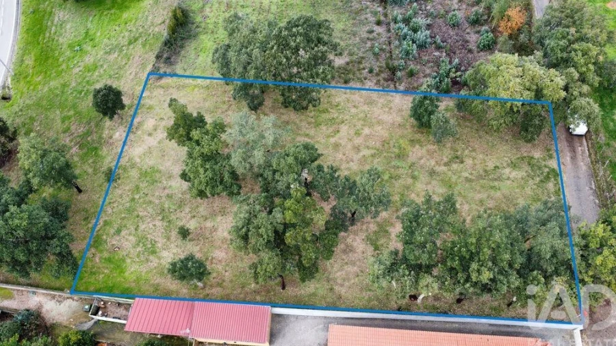Terreno para Venda em Figueiró dos Vinhos e Bairradas