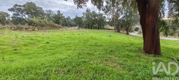 Terreno para Venda em Figueiró dos Vinhos e Bairradas