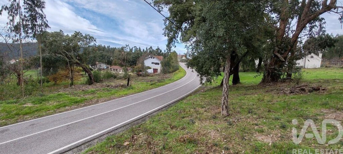 Terreno para Venda em Figueiró dos Vinhos e Bairradas Foto 9