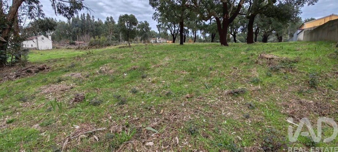 Terreno para Venda em Figueiró dos Vinhos e Bairradas Foto 8