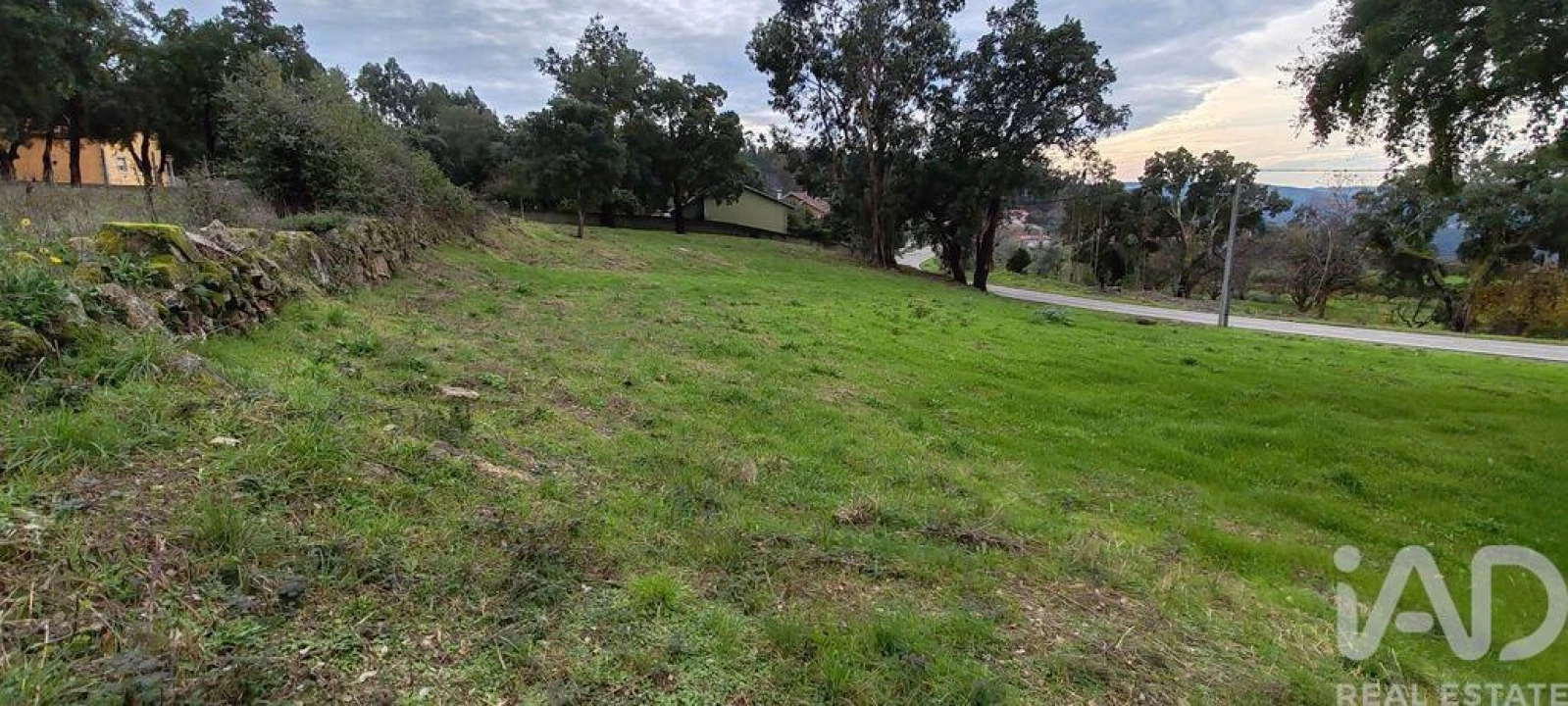 Terreno para Venda em Figueiró dos Vinhos e Bairradas Foto 12
