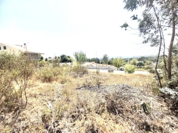 Terreno para Venda em Mouriscas